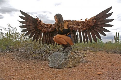 Реалистичные огромные крылья от художницы-косплейщицы Алексис Норьерги (12 фото)