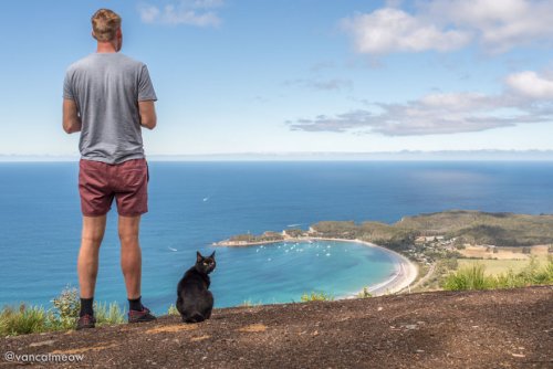 Австралиец Рич Ист, который однажды бросил работу, продал дом и имущество, чтобы путешествовать вместе со своей кошкой (15 фото)