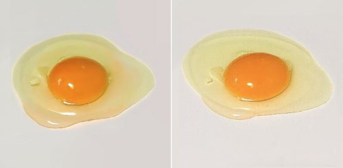 Одно из этих яиц настоящее, а другое — рисунок. Сможете определить, какое из них где? (3 фото)