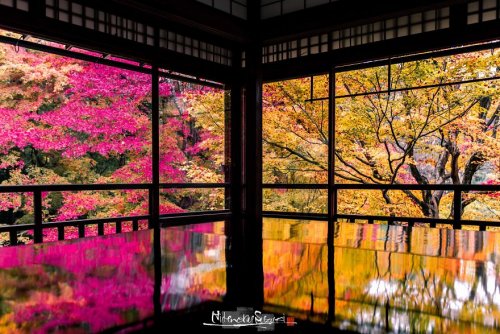 Фотограф запечатлел живописную осень в Киото (21 фото)