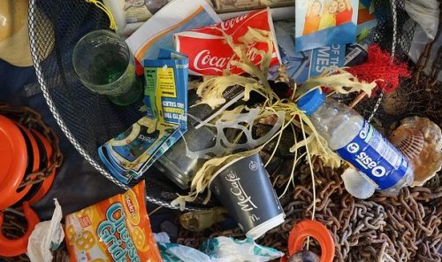 ТОП-25: Пугающие факты про пластиковое загрязнение, которые заставят вас пересмотреть свои привычки