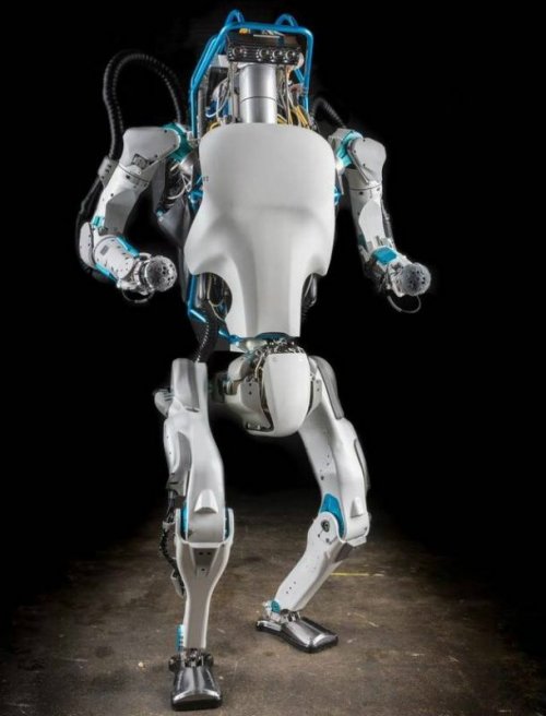 ТОП-25: Ужасающие роботы, над которыми прямо сейчас работают инженеры по всему миру