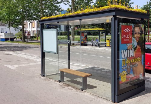 В Утрехте появились автобусные остановки с "зелёными" крышами ради поддержания популяции пчёл (3 фото)