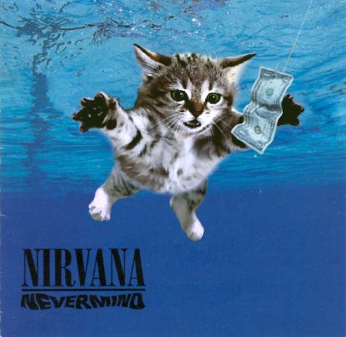 Культовые обложки музыкальных альбомов, воссозданные с котятами (20 фото)