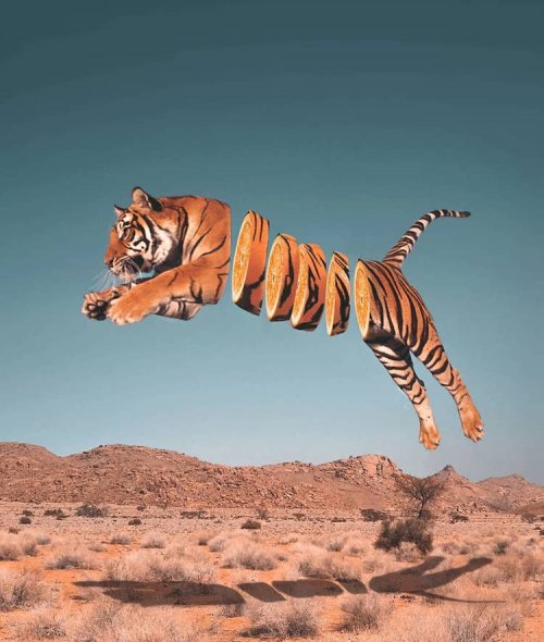Сюрреалистические фотоманипуляции, в которых художник объединяет животных с едой (9 фото)