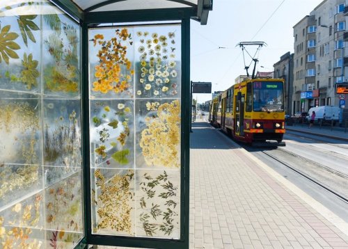 Трамвайную остановку в польском городе превратили в галерею-гербарий (11 фото)