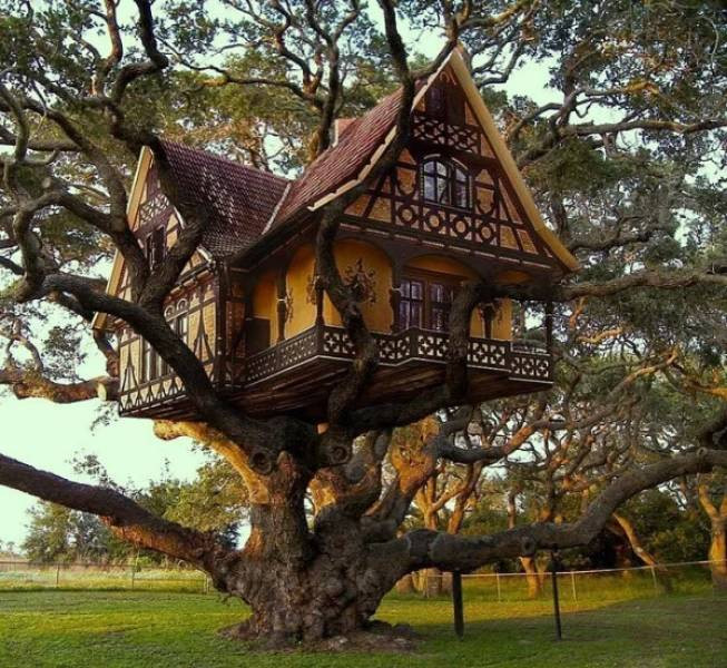 Где Можно Купить Дом Дерево