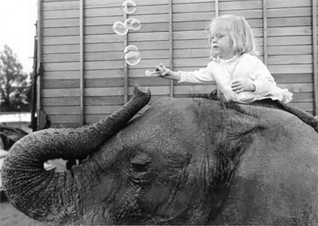 Маленькая девочка и её лучший друг слон (10 фото)