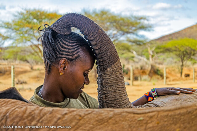 Победители конкурса на лучшую фотографию дикой природы Африки имени Мкапы (26 фото)