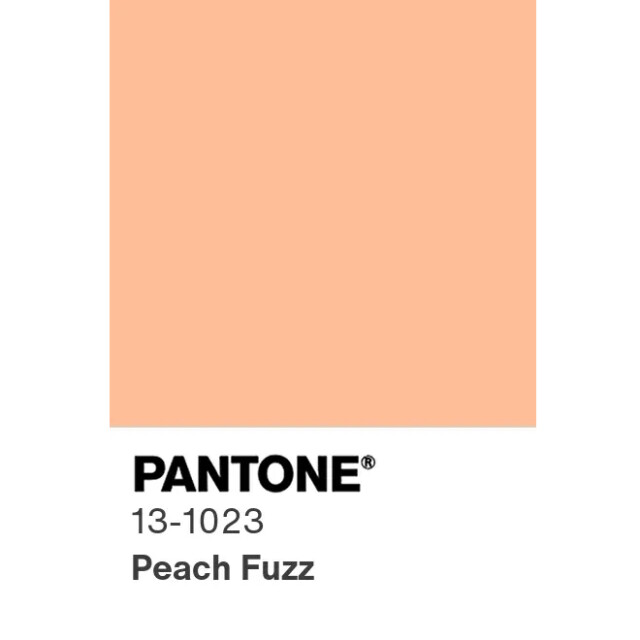   Pantone   2024   Peach Fuzz (2  + )