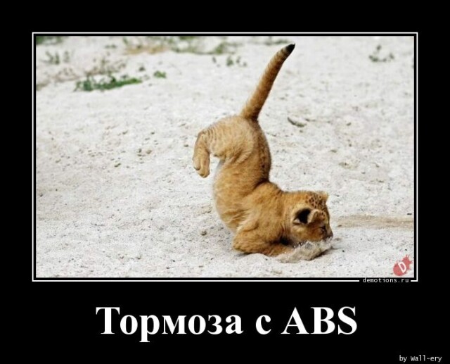    :   ABS (15 )