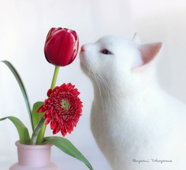 Войлочные кошки, созданные с невероятной реалистичностью (22 фото)