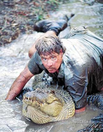 Смерть "охотника за крокодилами" засняли на видео