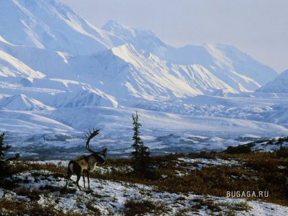Фото-География: Аляска