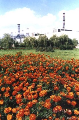 Чернобыль