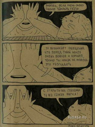 Кот (часть 2). Комиксы