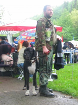Выставка собак в Кишиневе.
