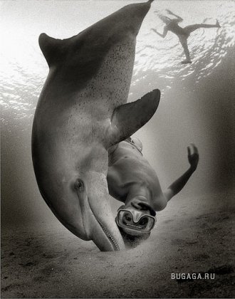 Underwater by Zena Holloway