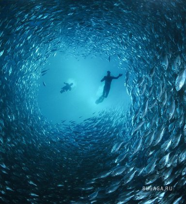 Underwater by Zena Holloway