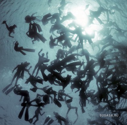 Underwater by Zena Holloway