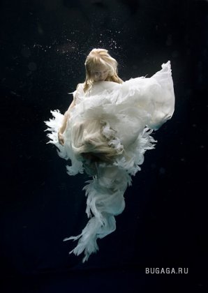 Underwater by Zena Holloway