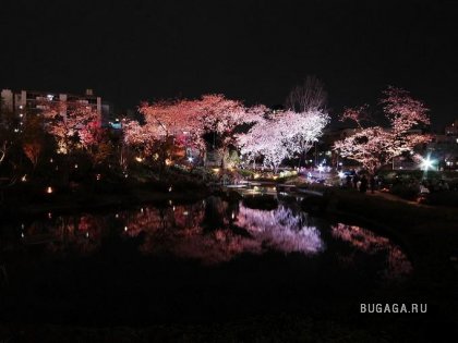 Фотографии ночного Токио