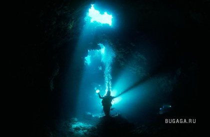 Подводно, загадачно, красиво от David Doubilet (part1)