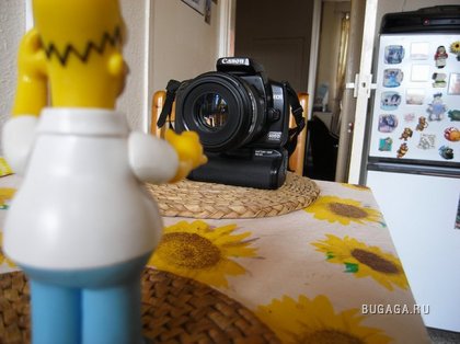 Безбашенная фотосессия с Гомером Симпсоном