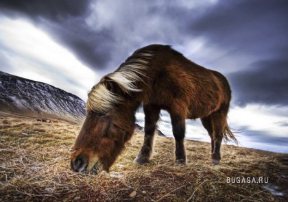 HDR-фотограф Трей Ретклифф (Trey Ratcliff)