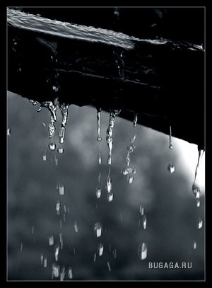 Капли дождя...)))))