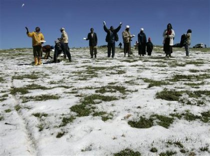 В Кении выпал снег