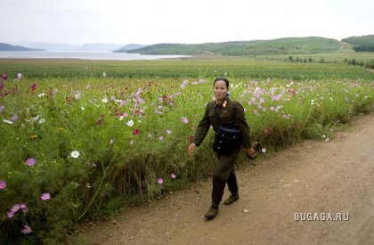 Северная Корея: 60 лет со дня образования КНДР