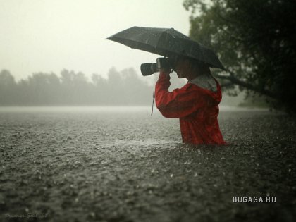 Фотографии дождя
