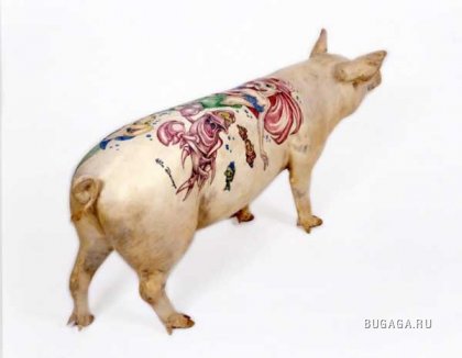 Татуированные свинюшки...