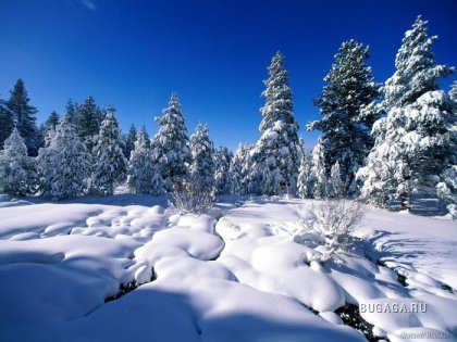 Фантастические зимние пейзажи!!!