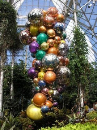 Работы из стекла в Нью-Йоркском ботаническом саду