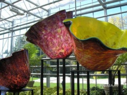 Работы из стекла в Нью-Йоркском ботаническом саду