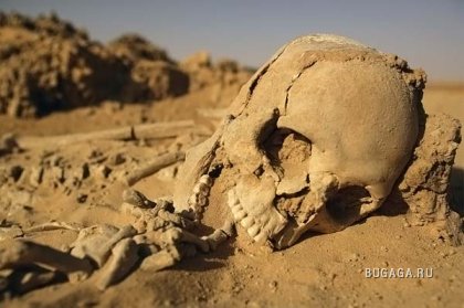 Археологические загадки Сахары
