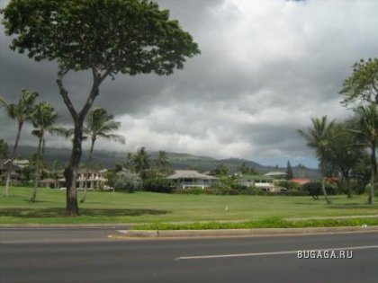 Гавайи - цветник мира...