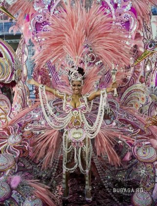 Карнавал в Рио 2009 (55 фото)