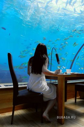 Подводный ресторан на Мальдивах