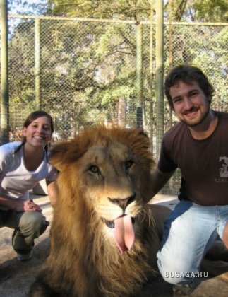 Аргентинский зоопарк для любителей экстрима