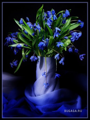 В синем цвете