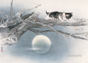 Кошки и собаки от Mi Chunmao.