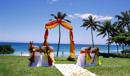 Свадьбы на Гаваях
