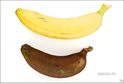 Банано-инфа