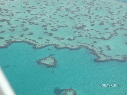 Большой барьерный риф Австралии
