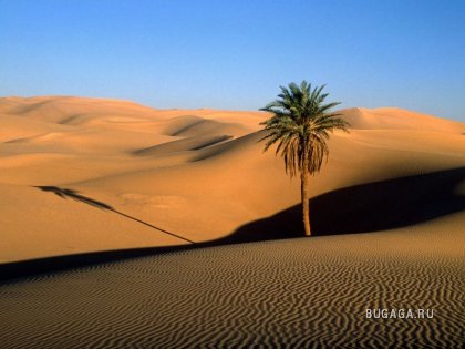 Самые большие пустыни мира