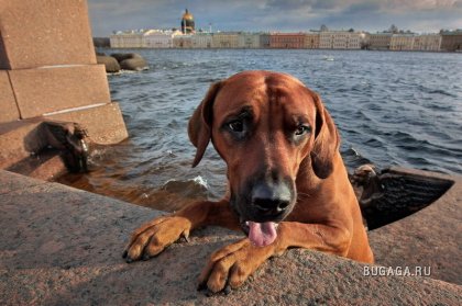 Работы фотографа Александра Петросяна