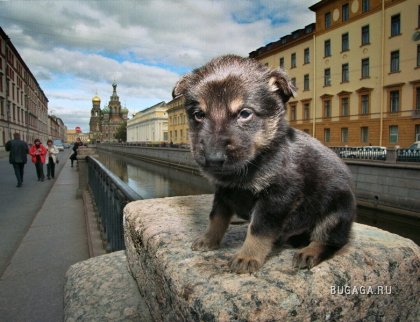 Работы фотографа Александра Петросяна